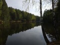 Evening forest near the river in spring. Royalty Free Stock Photo