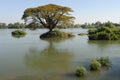 River Mekong at Don Det island