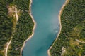 River in the middle of the forest. Bolboci Lake, Carpathian Mountains, Romania Royalty Free Stock Photo