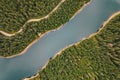 River in the middle of the forest. Bolboci Lake, Carpathian Mountains, Romania Royalty Free Stock Photo