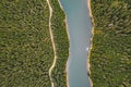 River in the middle of the forest. Bolboci Lake, Carpathian Mountains, Romania Royalty Free Stock Photo