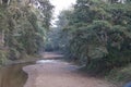 River in the middle and trees on both sides