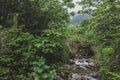 River in Mingyue Mountain, Jiangxi, China Royalty Free Stock Photo