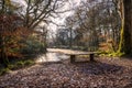 River on a misty autumn morning, respryn, cornwall, uk