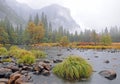 River in Misty Yosemite Valley
