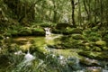 River Mladejka in the Strandja national park, in Bulgaria, Rocks Royalty Free Stock Photo