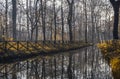 River in the Monza Park