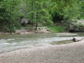 River Moravica, Serbia, Small river, Cloudy spring day, Clear water