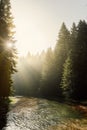 River with morning mist and sun glow in Durmitor Montenegro Royalty Free Stock Photo