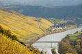River Mosel Vineyards Royalty Free Stock Photo