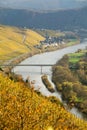 River Mosel Vineyards Royalty Free Stock Photo