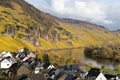 River Mosel Vineyards Royalty Free Stock Photo
