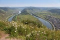 River Moselle near Zell and Punderich in Germany Royalty Free Stock Photo