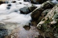 River of mountain crossing a forest.