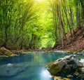 River in mountain forest.