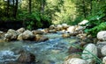 the bed of a mountain river  fast flowing water  rocky bottom and clear water on a sunny day  a place for walking and relaxing. Royalty Free Stock Photo