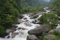 River in the mountain regions Royalty Free Stock Photo