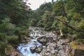 River Mountain Trail walk Forest Jungle Outdoor landscape Royalty Free Stock Photo