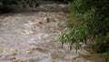 River in Mountains, Muddy Stream after Stormy Raining, Inundation, Flooding Creek in Torrential Rain, Calamity, Natural Disaster