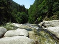 River in the mountains running between stone river banks. Valley, nature, green coniferous trees on the slopes, forest, rivulet.