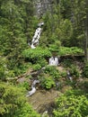 Waterfall in the forest