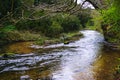 River Nar running through the woods.