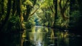 Serene And Mysterious Canal Filled With Trees And Water