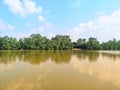 River nature green leaves background plant and white cloud blue sky Royalty Free Stock Photo