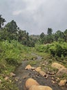 River with nature, greenish, beuatiful nature