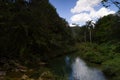 The river near the El Nicho waterfalls, Cuba Royalty Free Stock Photo