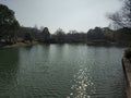 River near liangzhu museum 033