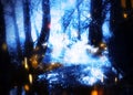 River in the night forest and fireflies Royalty Free Stock Photo