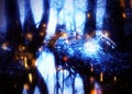 River in the night forest and fireflies Royalty Free Stock Photo
