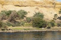 River Nile near Aswan in Southern Egypt