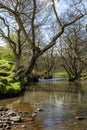 River Noe surrounded by trees and rocks covered in mosses under the sunlight in the UK Royalty Free Stock Photo