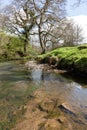 River Noe surrounded by trees and rocks covered in mosses under the sunlight in the UK Royalty Free Stock Photo