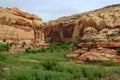 Escalante National Monument, River Oasis at the Entrance of Calf Creek Canyon, Utah Royalty Free Stock Photo