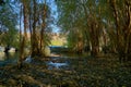 River And Old Metal Blue Rowing Fishing Boat Royalty Free Stock Photo