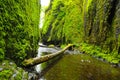 River in Oneonta Gorge 2 Royalty Free Stock Photo