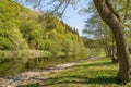 The river Ourthe near Maboge in the Ardennes, Belgium