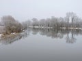 River and beautiful white trees in frost, Lithuania Royalty Free Stock Photo