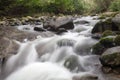 River passing through forest