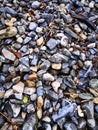 River pebble beach, natural beauty of stones. Grey monochrome background. Natural scenery Royalty Free Stock Photo