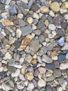 River Pebble Stones in detail