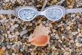 river pebble swimming glasses