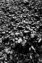 River pebbles