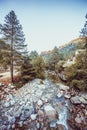 River with pebbles, mountains and picturesque forest. Enchanting and evocative landscape.