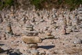 River pebbles stacked in towers