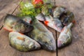 River perch on a table