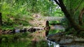 River Plym Bickleigh Vale dartmoor uk